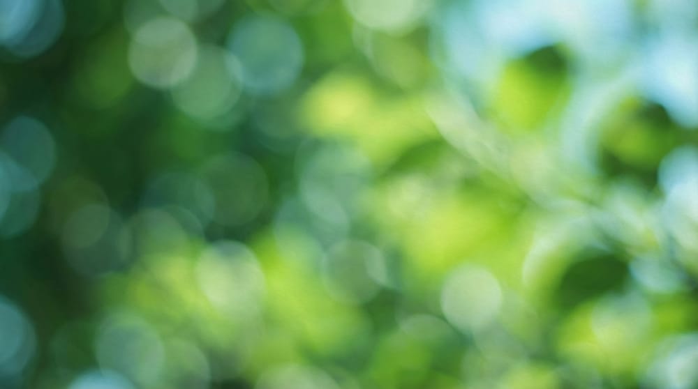 10 companies that succeeded with bootstrapping